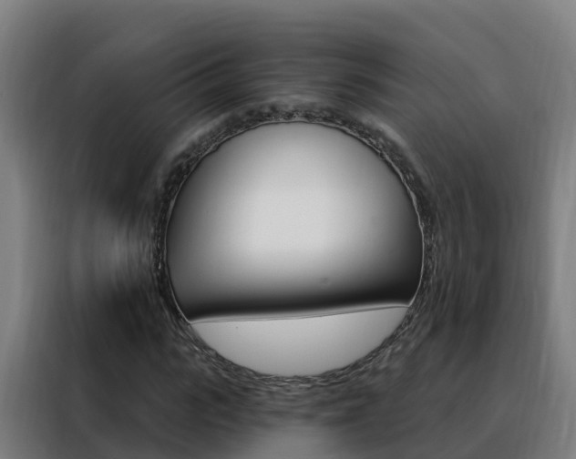 X0000088490919200705221019