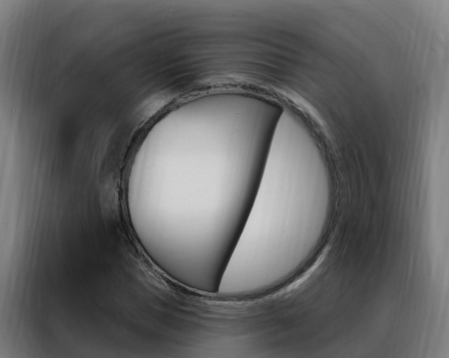 X0000088490921200705221019