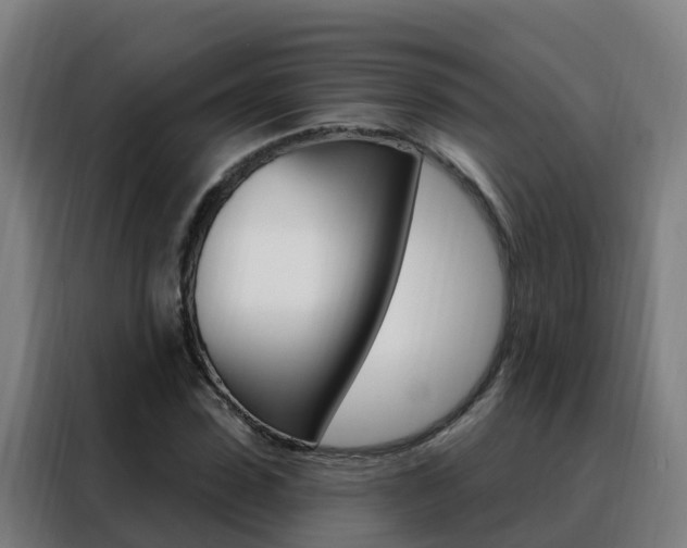 X0000088490923200705221019