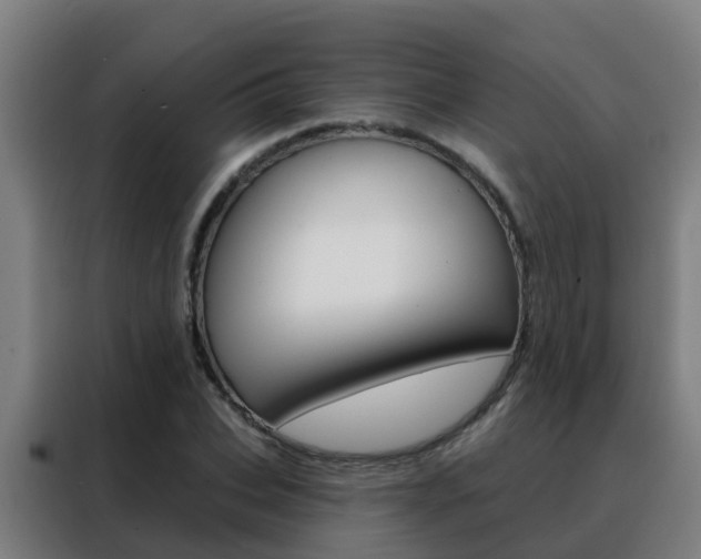 X0000088490927200705221019
