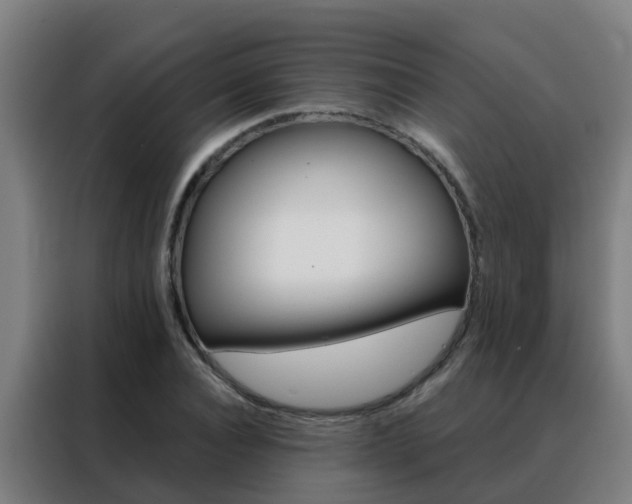 X0000088490928200705221019