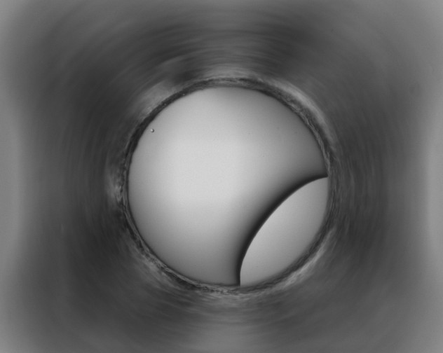 X0000088490929200705221019