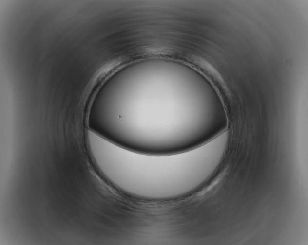 X0000088490930200705221019