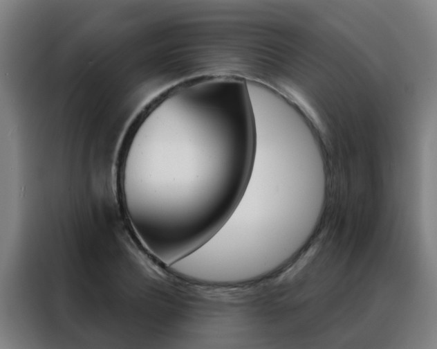 X0000088490932200705221019