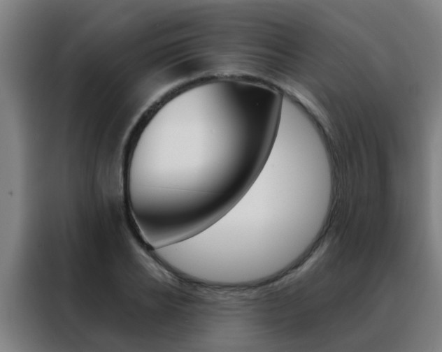 X0000088490934200705221019