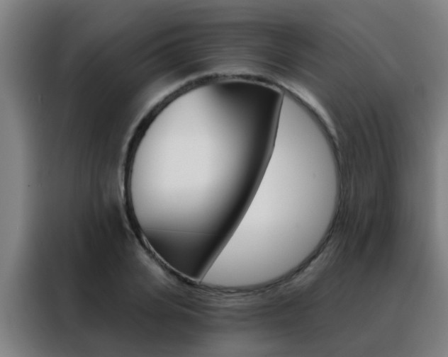 X0000088490935200705221019