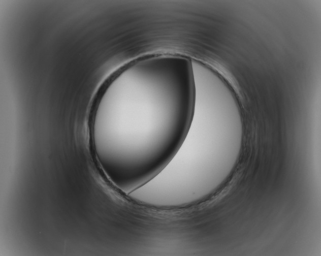 X0000088490936200705221019