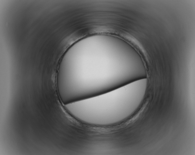 X0000088490937200705221019