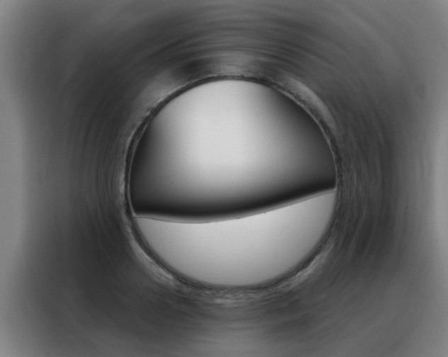 X0000088490938200705221019