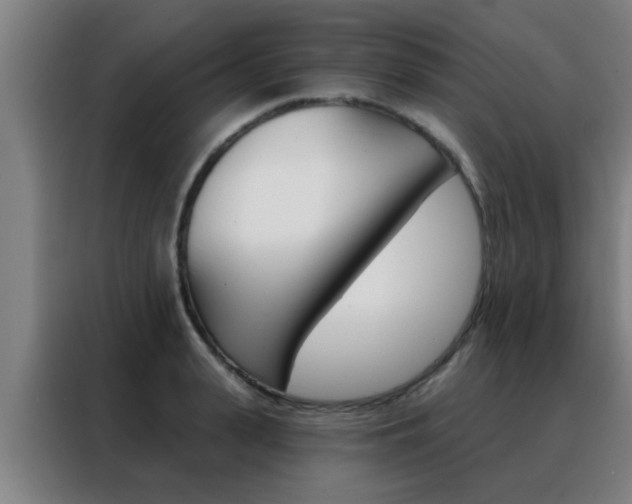 X0000088490943200705221019