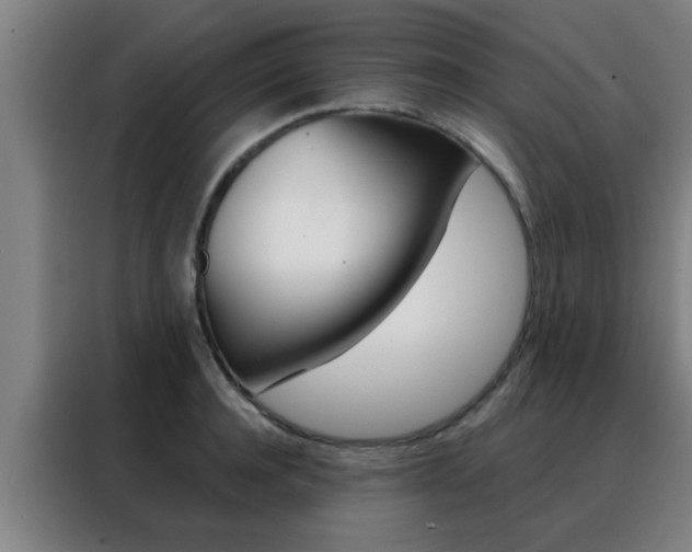 X0000088490944200705221019