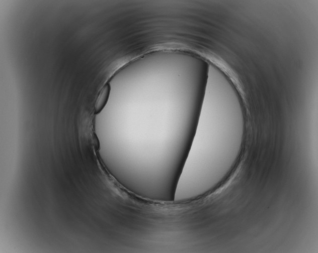 X0000088490945200705221019