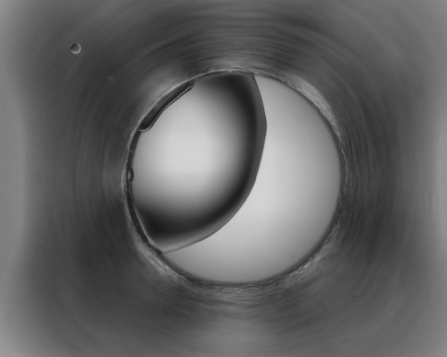 X0000088490946200705221019