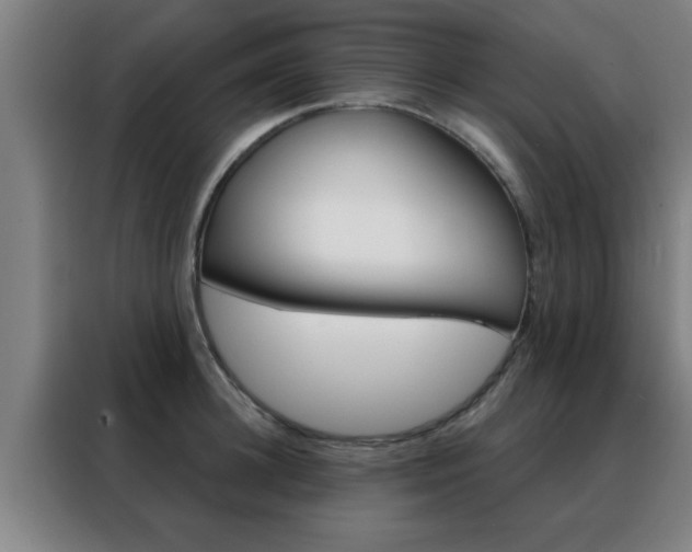 X0000088490948200705221019