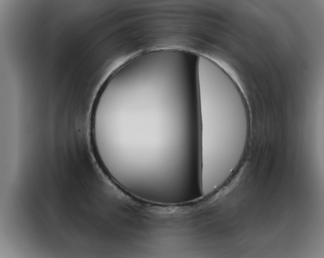 X0000088490949200705221019