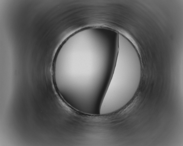 X0000088490951200705221019