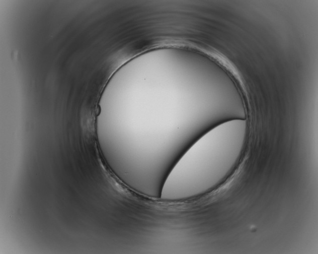 X0000088490953200705221019