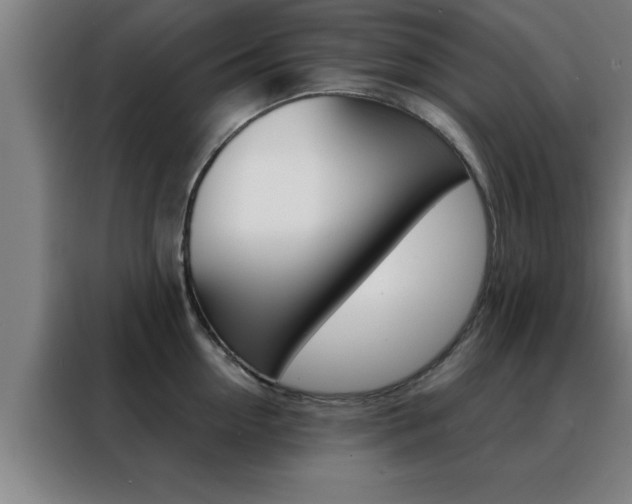 X0000088490954200705221019