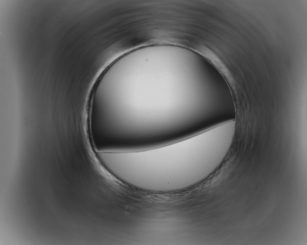 X0000088490955200705221019