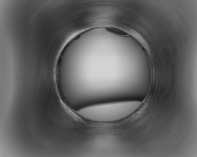 X0000088490958200705221019