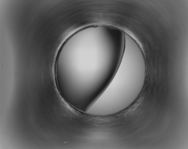 X0000088490959200705221019