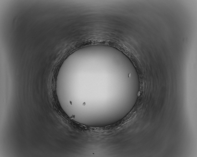 X0000088490961200705221019