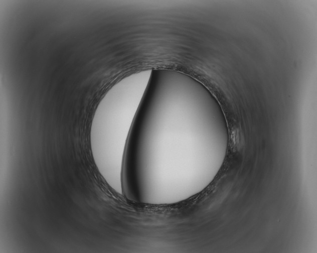 X0000088490963200705221019