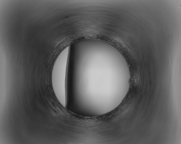X0000088490964200705221019