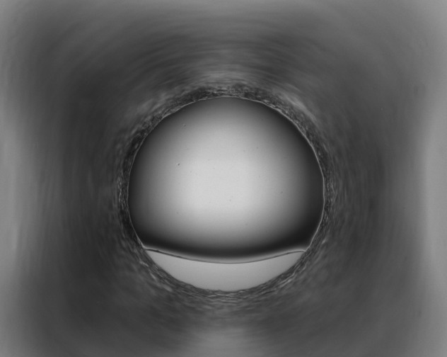 X0000088490965200705221019