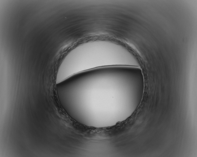 X0000088490967200705221019