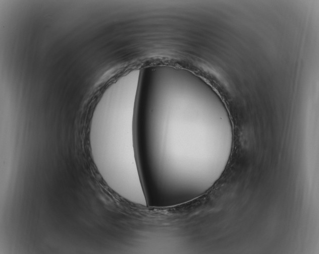 X0000088490968200705221019