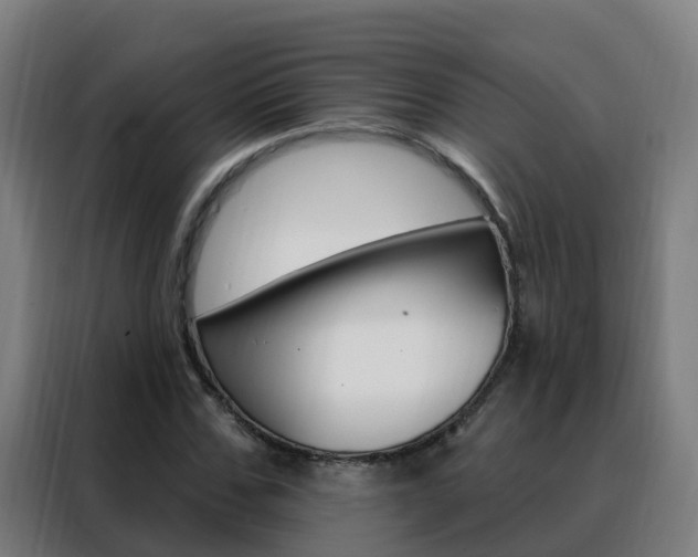 X0000088490971200705221019