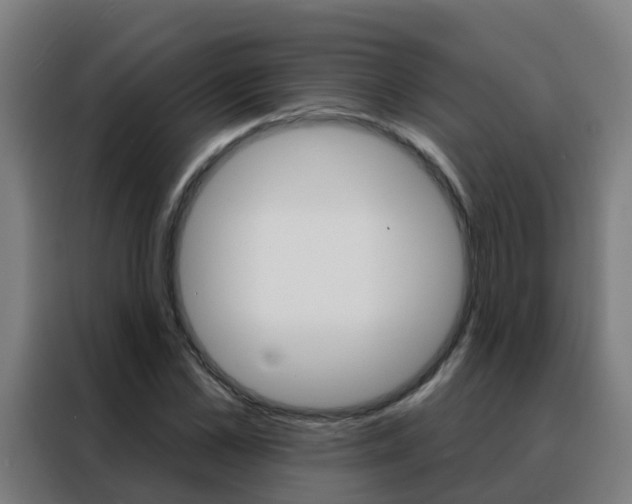 X0000088490973200705221019