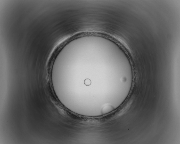 X0000088490974200705221019