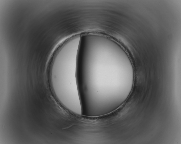 X0000088490975200705221019