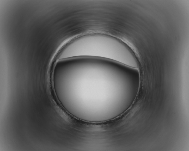 X0000088490976200705221018