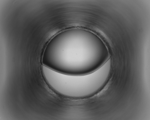 X0000088490977200705221018