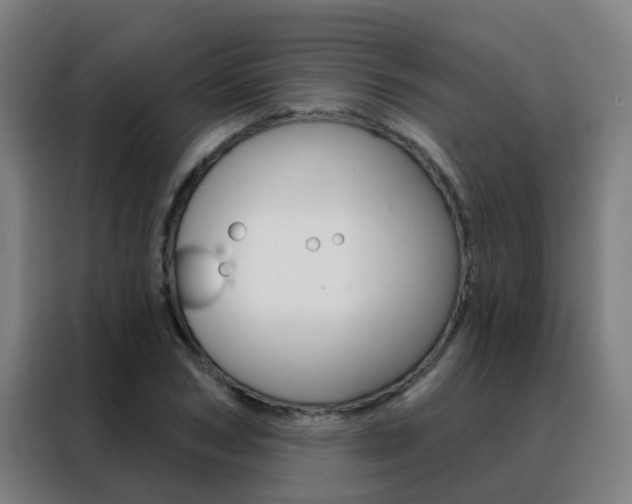 X0000088490978200705221018