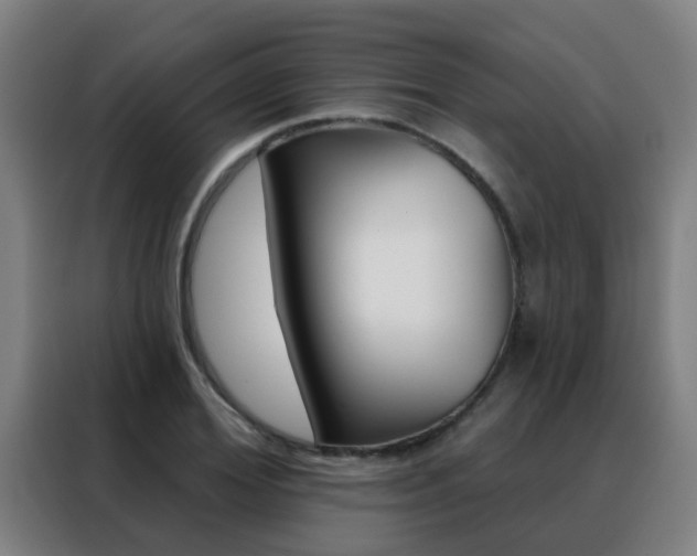 X0000088490980200705221018
