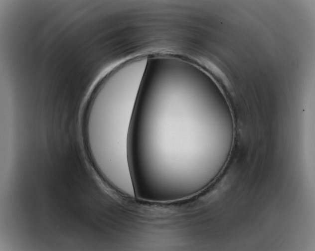 X0000088490981200705221018