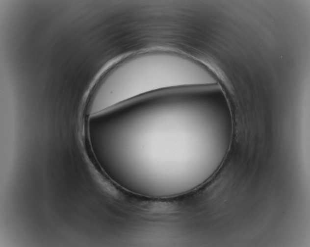 X0000088490984200705221018