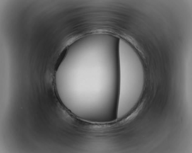 X0000088490985200705221018