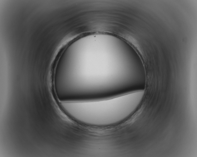 X0000088490987200705221018