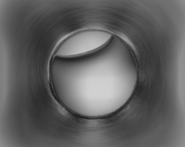 X0000088490988200705221018
