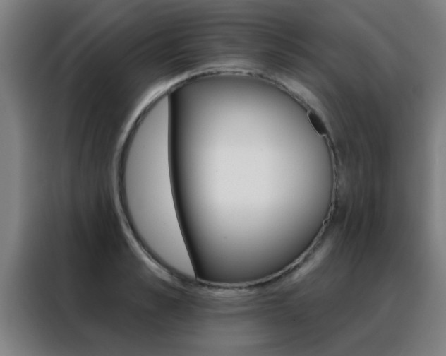 X0000088490989200705221018