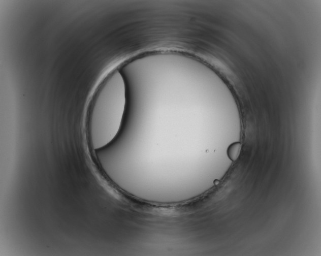 X0000088490990200705221018