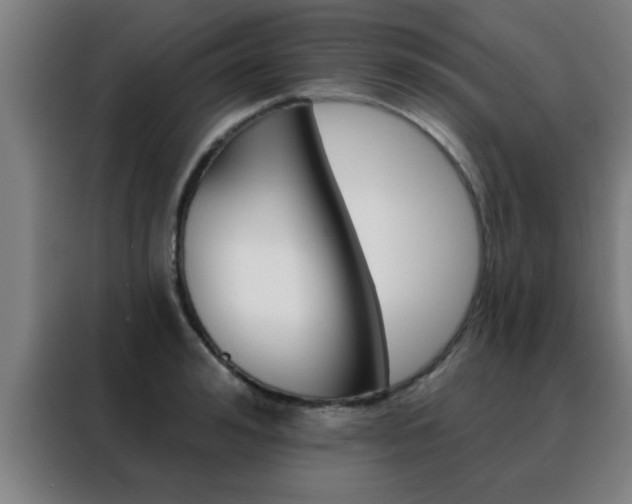 X0000088490992200705221018