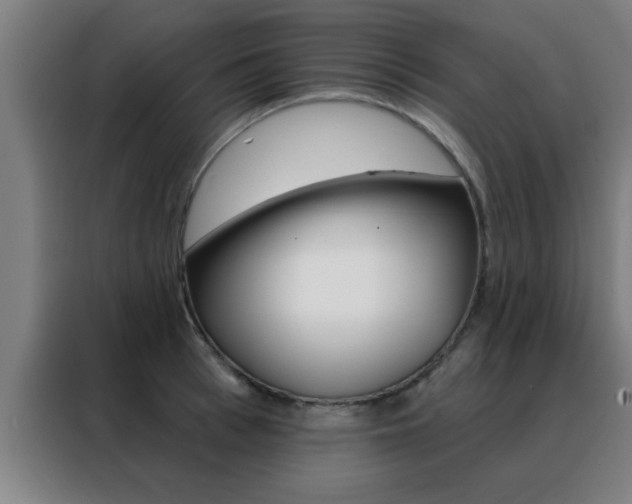 X0000088490993200705221018