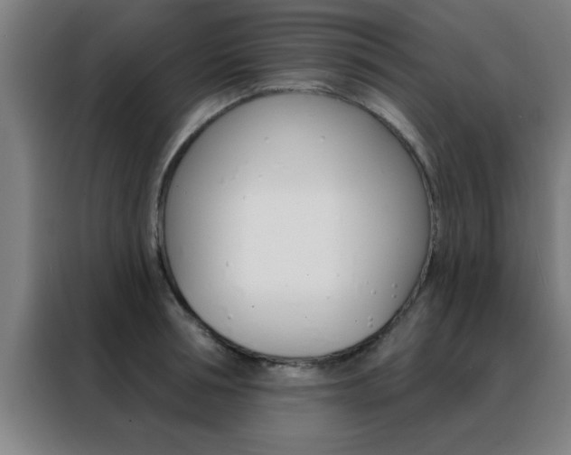 X0000088490994200705221018