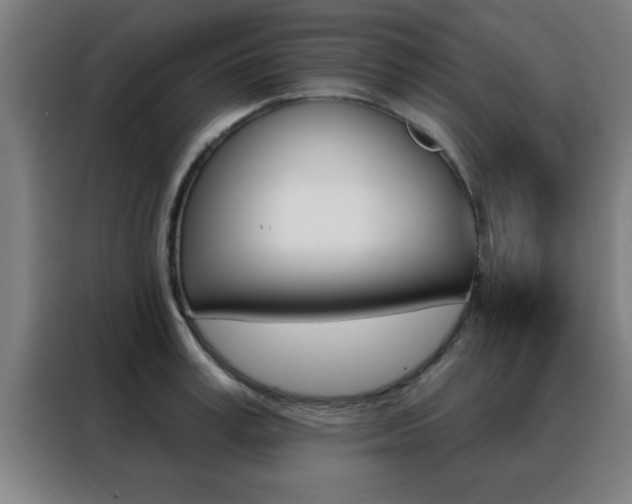 X0000088490995200705221018